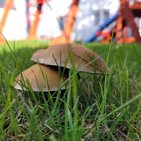 Apartamenty Morski Brzeg - Sauna, Balia Wladyslawowo Bagian luar foto